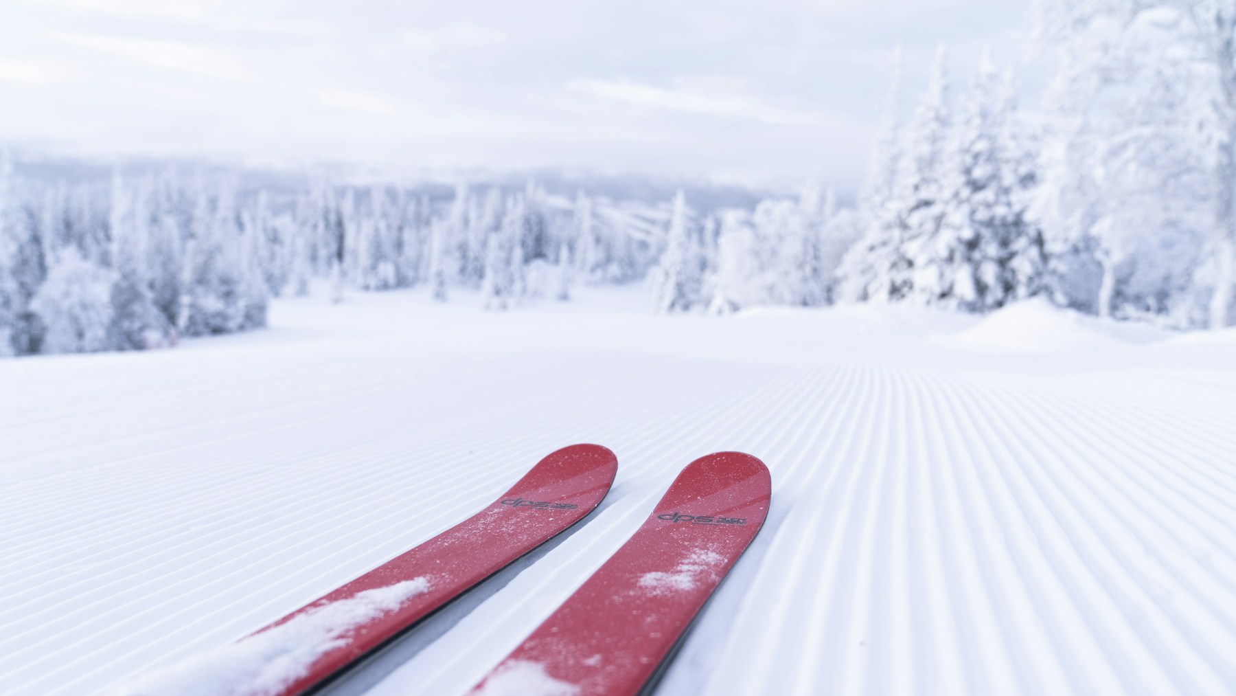 Røde ski på en nypreparert bakke i Åre